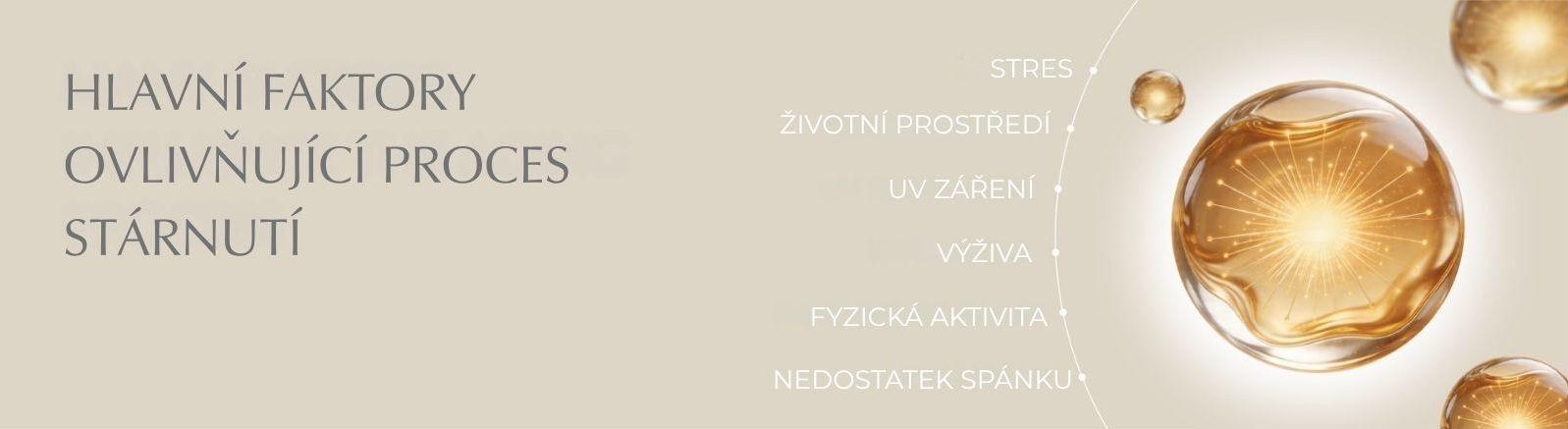 Longevity-dlouhovekost-faktory stárnutí